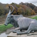 Why do they call durham the bull city?