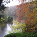 What's special about durham?