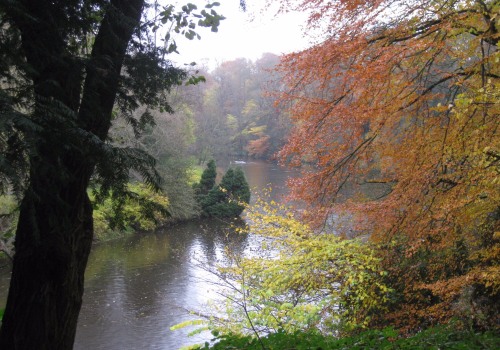 What's special about durham?