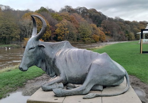 Why are the durham bulls called the bulls?